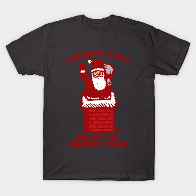 SANTA CHIMNEY T-Shirt by toddgoldmanart